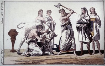 Sacrificio di un toro. Usanza nell