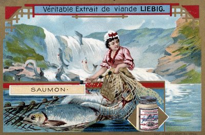 Pesca al salmone - cromolitografia del XIX secolo da Unknown artist