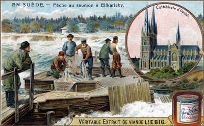 Pesca al salmone a Elfkarleby, Svezia. Cromolitografia, immagine Liebig da Unknown artist
