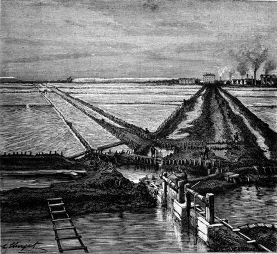 Produzione di sale: veduta di una salina sulla costa mediterranea. Incisione del XIX secolo da Unknown artist