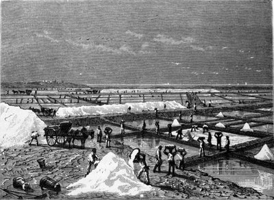 Produzione di sale: vista di una salina, incisione del XIX secolo da Unknown artist
