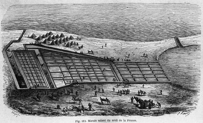 Produzione di sale: veduta di una salina nel sud della Francia, incisione del 1880 da Unknown artist