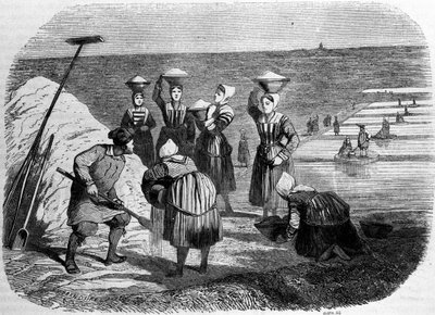 Produzione di sale: donne che lavorano nelle saline. Incisione del XIX secolo da Unknown artist