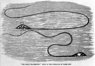 Serpente marino visto nel 1850 all