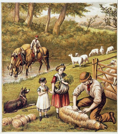 Tosatura delle pecore - cromolitografia da Unknown artist