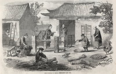 Produzione di seta in Cina e le varie fasi di fabbricazione. da Unknown artist