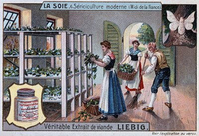 Seta: laboratorio di seta nel sud della Francia, pubblicità Liebig, circa 1895 da Unknown artist