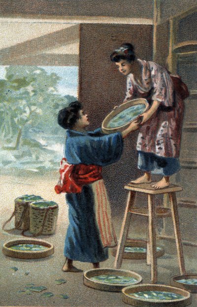 Allevamento di bachi da seta in un magnete giapponese. Cromolitografia della fine del XIX secolo da Unknown artist
