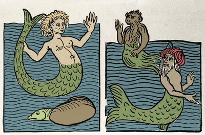 Sirena o Vergine del Mare, Scimmia e Turco del Mare. Incisione da "Hortus sanitatis" da Unknown artist