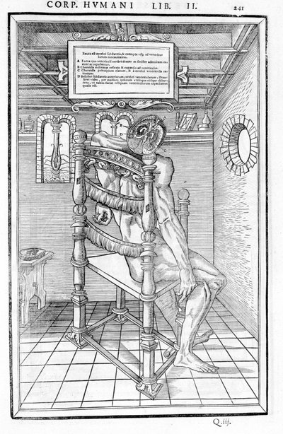 Sezione del cranio. Tavola anatomica di "De dissectione partium corporis humani libri tres..." Carlo Stefano Riverio, Parigi 1545 da Unknown artist
