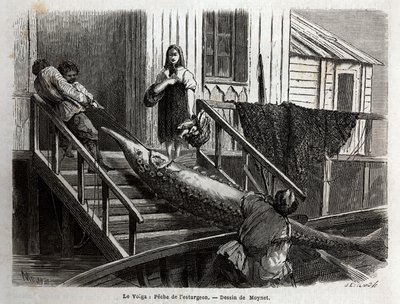 Pesca dello storione alla foce del fiume Volga. Incisione per illustrare il viaggio sul Volga di M.Moynet, nel 1864, in 
