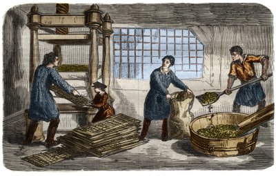Produzione di zucchero: estrazione del succo dalla polpa di barbabietola. La polpa è imbustata in sacchi impilati sotto il vassoio di una pressa idraulica. Incisione del 1859 in 