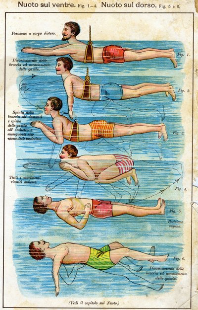 Nuoto sul ventre - in Bilz, Medicina Naturale, fine XIX secolo da Unknown artist