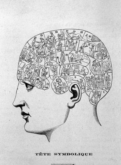 Testa simbolica. illustrazione dal libro di Charles Rouvin del 1873 "La Tête humaine, studi illustrati di frenologia e fisiognomonia applicati a personaggi famosi" Parigi 1873 da Unknown artist