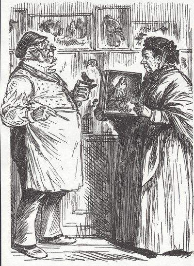 Tassidermista, fine XIX secolo da Unknown artist