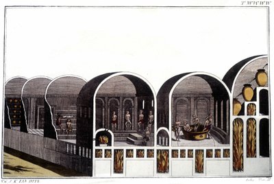 Le Terme di Caracalla a Roma. Incisione dell