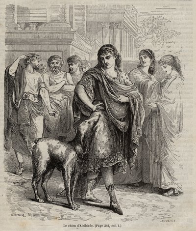Il cane di Alcibiade da Unknown artist