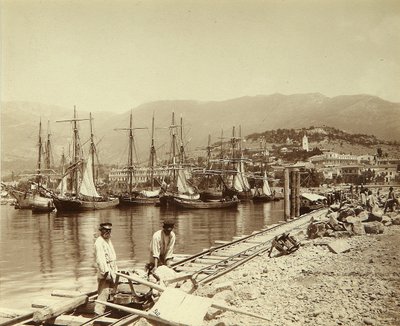 La Costruzione di un Molo a Yalta da Unknown artist