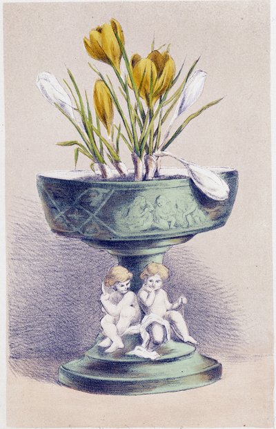 Le quattro stagioni: Primavera, Narcisi da Unknown artist