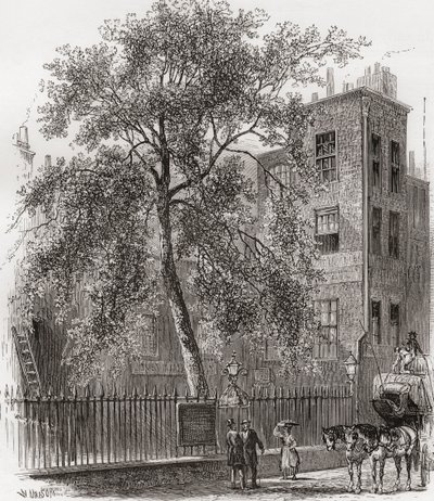 Il platano, Wood Street, Cheapside, Londra, Inghilterra nel XIX secolo da Unknown artist