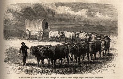 Il grande bue delle pianure e il suo tiro. Incisione per illustrare il viaggio nel far west americano, di M. L. Simonin, nel 1867, pubblicato in "Le tour du monde, nouveau journal des voyages", a cura di Edouard Charton da Unknown artist