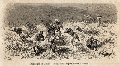 La carovana dei portatori della spedizione di Henry Morton Stanley (1841-1904) sulla strada di Misonghi (Africa orientale) attaccata da uno sciame di api. Incisione per illustrare il viaggio alla ricerca di Livingstone, in Africa centrale, di Henry Stanley da Unknown artist