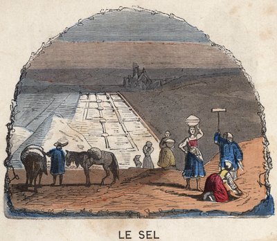 La raccolta del sale. Illustrazione del XIX secolo. Collezione Bianchetti da Unknown artist