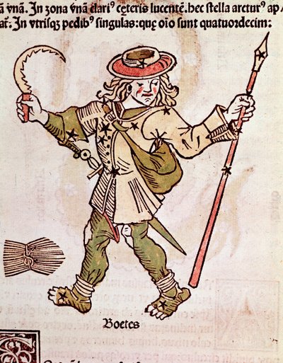 La costellazione di Bouvier (dettaglio) da Unknown artist