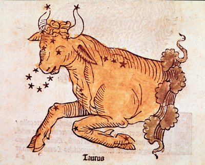 La costellazione del toro (dettaglio) da 