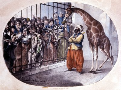 La folla curiosa si precipitò a vedere una giraffa dietro un cancello. Litografia di Danhaaren. 1829 da Unknown artist