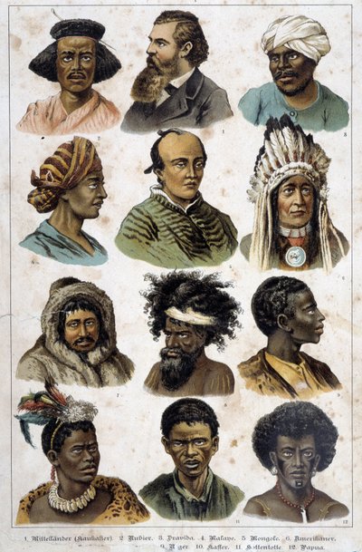 Le diverse razze umane - in "Natural histories of mammals", ed. Schreiber da Unknown artist