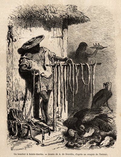 Il banco di un macellaio nei sobborghi di Santa Marta (Colombia), incisione per illustrare il viaggio nelle valli di Quinquinas, di Paul Marcoy, 1849-1861 da Unknown artist