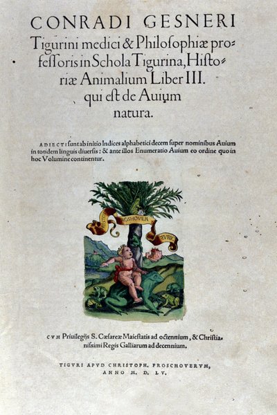 Il frontespizio del terzo volume di Historia Animalium di Conrad Gesner (1516 - 1565), Tiguri da Unknown artist