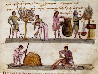 La raccolta delle olive, la produzione del miele e la macellazione degli agnelli. Miniatura da 