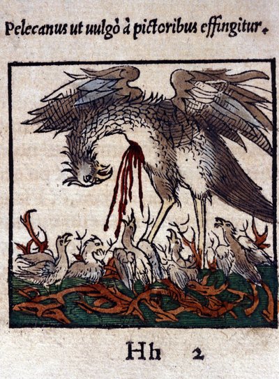 La leggenda del pellicano: dona il suo sangue e le sue viscere per nutrire i suoi piccoli. Da Historiae animalium di Konrad Gesner, Tiguri da Unknown artist