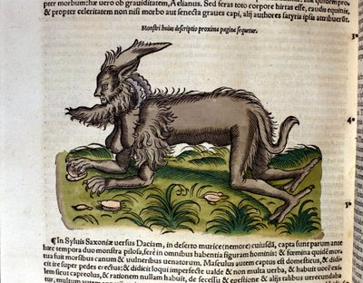 La manticora dall
