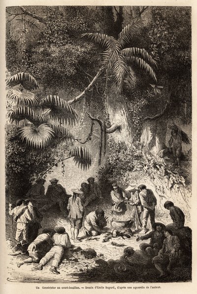La preparazione di un pasto nella foresta incontaminata nella valle di Caravaya (cordigliera delle Ande), un boa constrictor con brodo corto. Incisione per illustrare il viaggio nelle valli di Quinquinas (Perù), di Paul Marcoy, nel 1849-1861, pubblicato in da Unknown artist