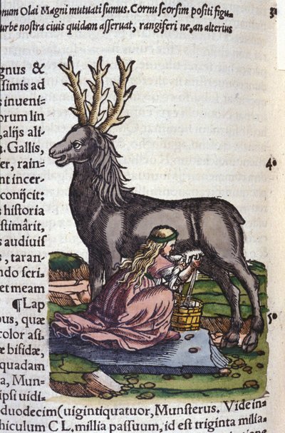 Il commercio delle renne dopo Historiae animalium di Konrad Gesner, Tiguri da Unknown artist
