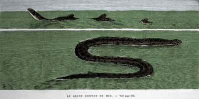 Il serpente marino osservato nel 1872 nell