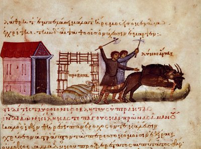 I pastori cercano di difendere la bestia dall