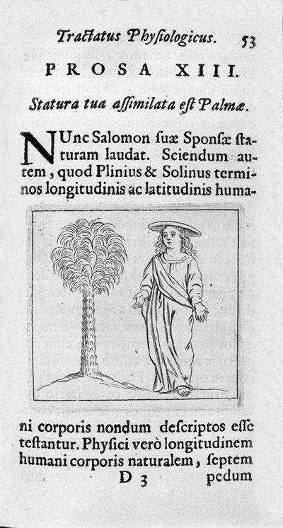 La misura della donna. Pagina tratta dal "Tractatus physiologicus de pulchritudine" di Ernesto Venio che difende la bellezza della creazione contro un anonimo oppositore. 1612 da Unknown artist