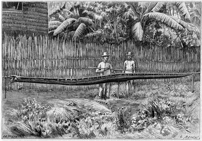 La pelle di un serpente pitone, lunga 6,60 m, catturato nelle Isole Filippine. (Da una fotografia). Incisione in "La Nature: revue des sciences et de leurs applications aux arts et a l