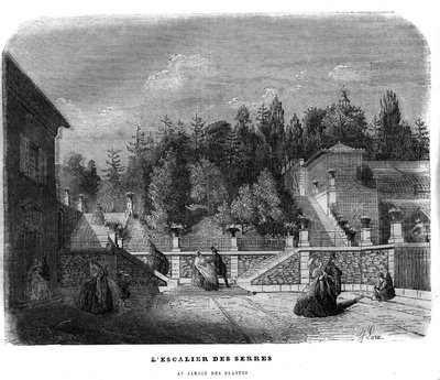 La scala delle serre nel giardino delle piante a Parigi nel 1858. da Unknown artist