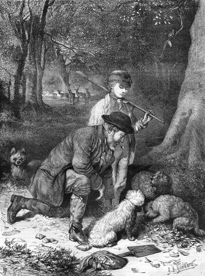 I tartufi. Incisione del 1870. da Unknown artist