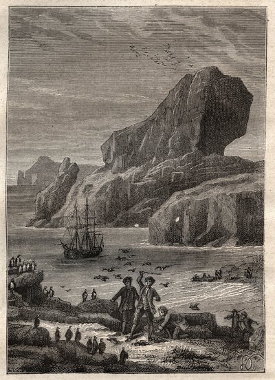 Terzo viaggio (1776-1779) del Capitano James Cook (1728-1779): le isole Kerguelen (arcipelago Kerguelen, Antartide) - illustrazione tratta da "I grandi marinai del XVIII secolo" da Unknown artist