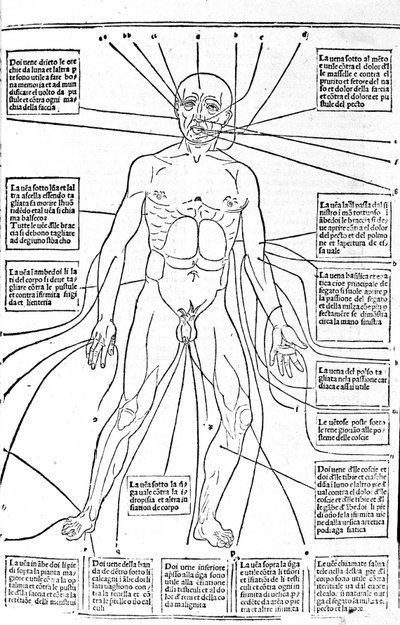 Questa immagine mostra i punti del corpo per praticare il salasso a seconda del dolore. Trattato di Medicina di Gerolamo Cardano, Firenze da Unknown artist