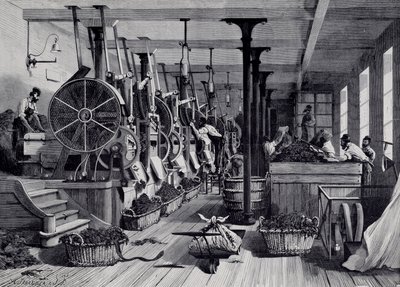 Fabbrica di tabacco, lavanderia e raschiatura del tabacco da Unknown artist