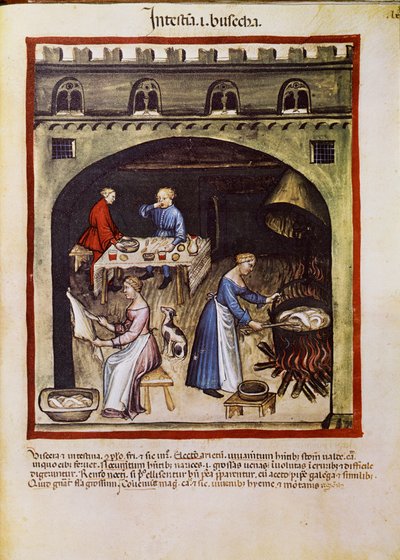 Trattato di medicina: "cuocere le viscere e le interiora degli animali". Pagina tratta dal "Tacuinum sanitatis" (Cod. ser. nov. 2644) Intorno al 1400 Vienna, Osterreischische Nationalbibliothek da Unknown artist