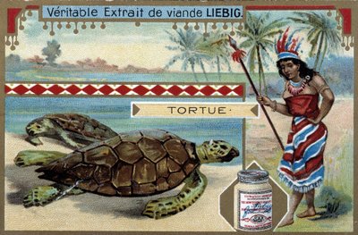 Tartaruga, con una donna vestita come una nativa del Sud America, equipaggiata con una lancia da caccia - cromolitografia Liebig da Unknown artist