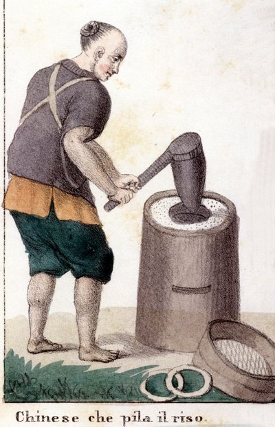 Un cinese che ruba il riso - in Il costume universale di tutti i popoli del mondo da Unknown artist